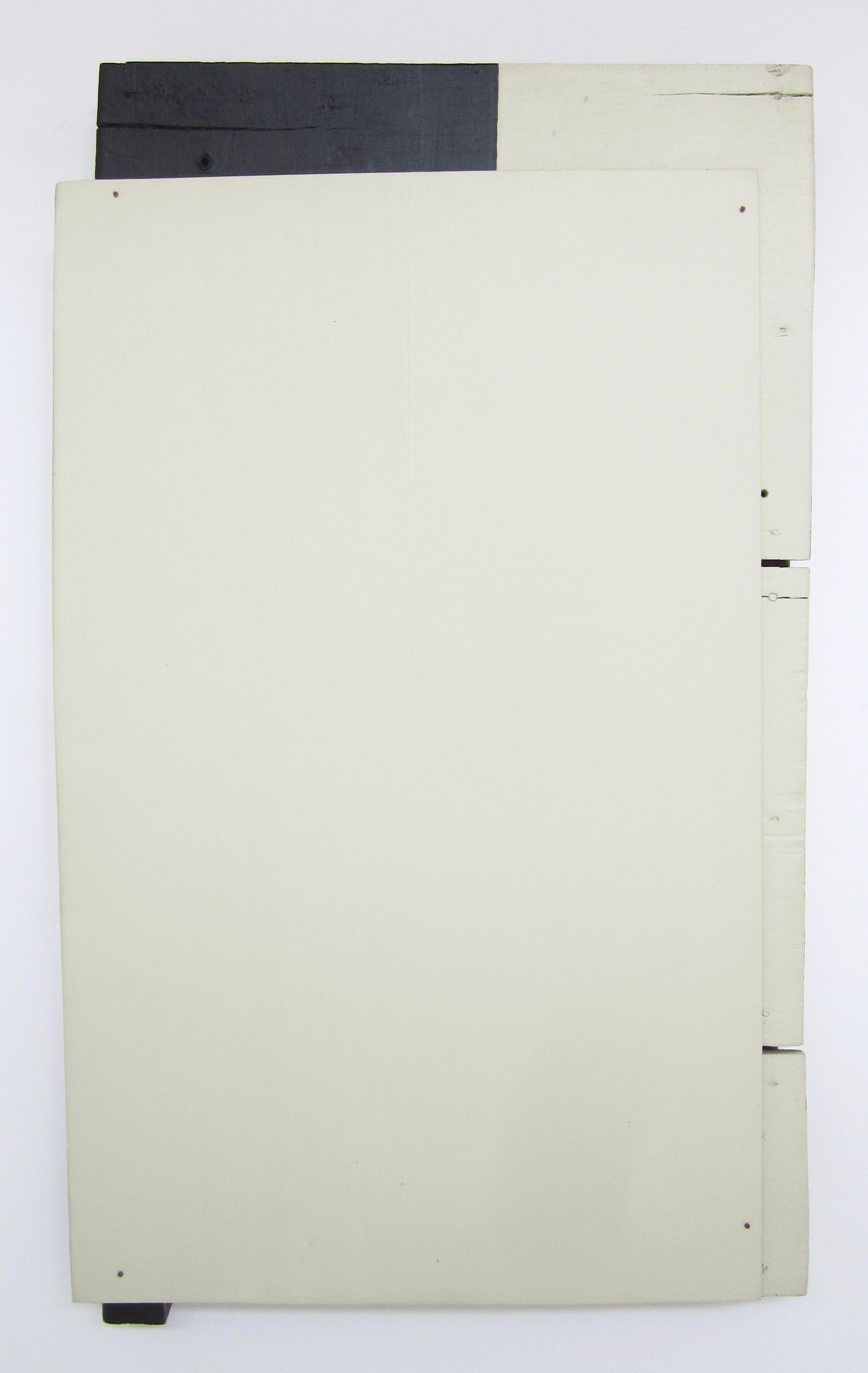 DD Oiticicas White Car.jpg